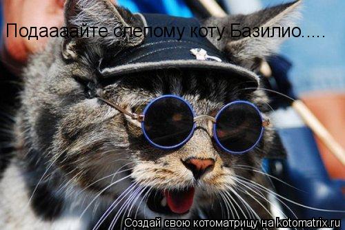 Подаааайте слепому коту Базилио........ Котоматрица: Подаааайте слепому коту Базилио.....
