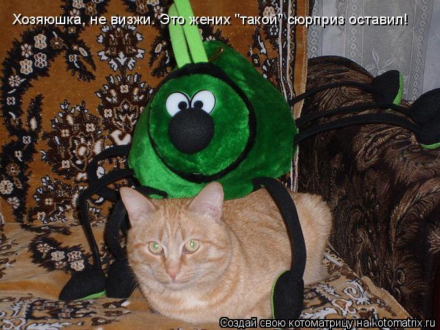 Хозяюшка, не визжи. Это жених "такой" сюрприз оставил!... Котоматрица: Хозяюшка, не визжи. Это жених "такой" сюрприз оставил!
