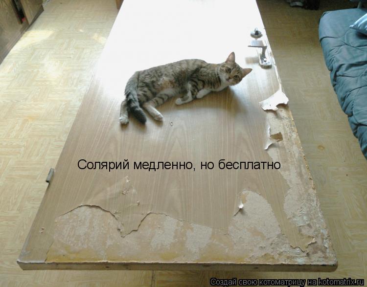 Солярий медленно, но бесплатно... Котоматрица: Солярий медленно, но бесплатно