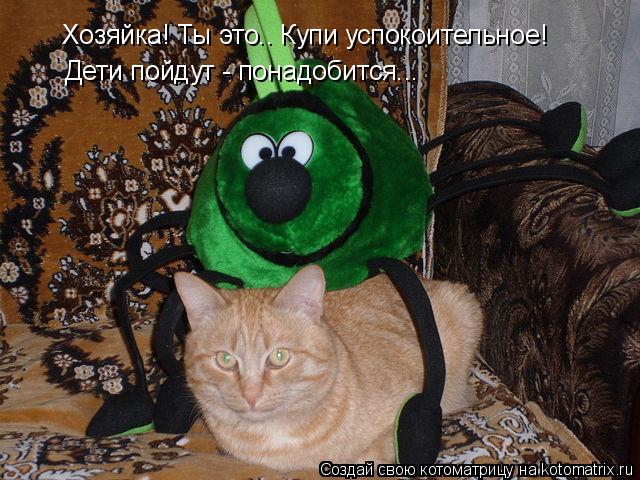 Хозяйка! Ты это.. Купи успокоительное! Дети пойдут - понадобится...... Котоматрица: Хозяйка! Ты это.. Купи успокоительное! Дети пойдут - понадобится...