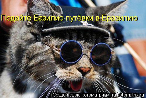 Подайте Базилио путёвки в Бразилию... Котоматрица: Подайте Базилио путёвки в Бразилию