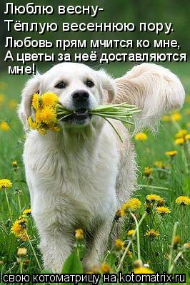 Люблю весну- Тёплую весеннюю пору. Любовь прям мчится ко мне, А цветы за неё доставляются мне! мне!... Котоматрица: Люблю весну- Тёплую весеннюю пору. Любовь прям мчится ко мне, А цветы за неё доставляются мне! мне!