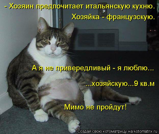 - Хозяин предпочитает итальянскую кухню. Хозяйка - французскую. А я не привередливый - я люблю... ...... Котоматрица: - Хозяин предпочитает итальянскую кухню. Хозяйка - французскую. А я не привередливый - я люблю... ...хозяйскую...9 кв.м Мимо не пройдут!