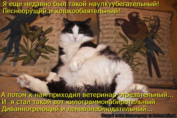 Я еще недавно был такой наулкуубегательный! Песнеорущий и кошкообаятельный! А потом к нам приходил ве... Котоматрица: Я еще недавно был такой наулкуубегательный! Песнеорущий и кошкообаятельный! А потом к нам приходил ветеринар отрезательный... И я стал тако