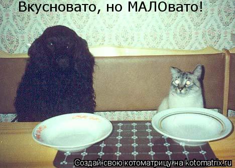 Вкусновато, но МАЛОвато!... Котоматрица: Вкусновато, но МАЛОвато!