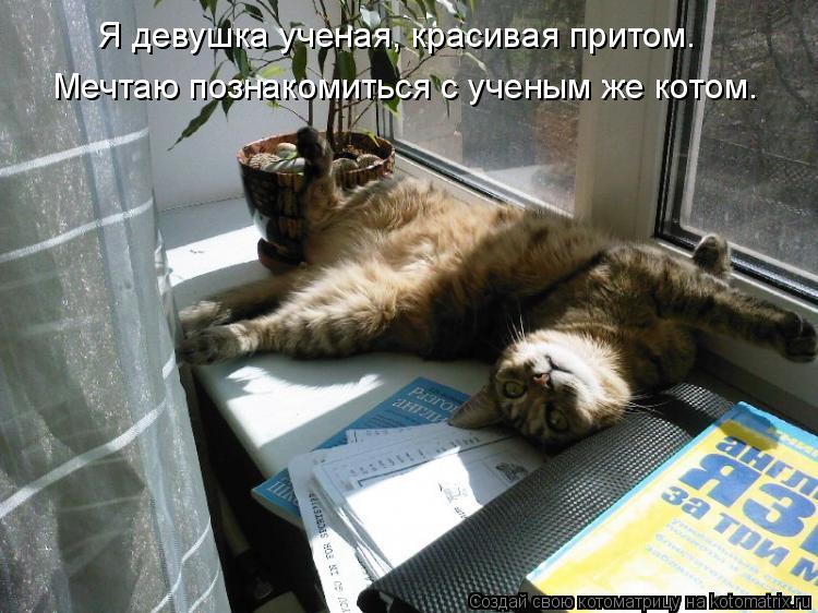 Котоматрица: Я девушка ученая, красивая притом. Мечтаю познакомиться с ученым же котом.