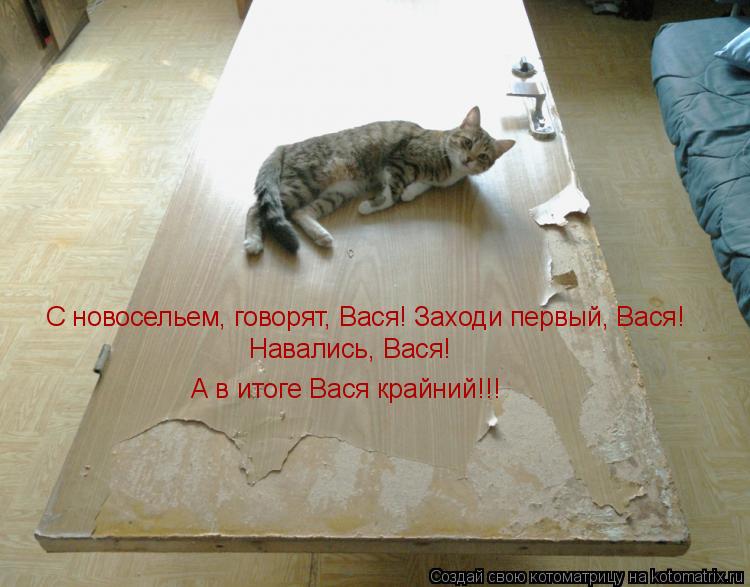 С новосельем, говорят, Вася! Заходи первый, Вася! Навались, Вася! А в итоге Вася крайний!!!... Котоматрица: С новосельем, говорят, Вася! Заходи первый, Вася! Навались, Вася! А в итоге Вася крайний!!!