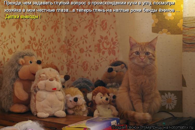 Котоматрица: Прежде,чем задавать глупый вопрос о происхождении кучи в углу, посмотри хозяйка в мои честные глаза...а теперь глянь на наглые рожи банды ёж