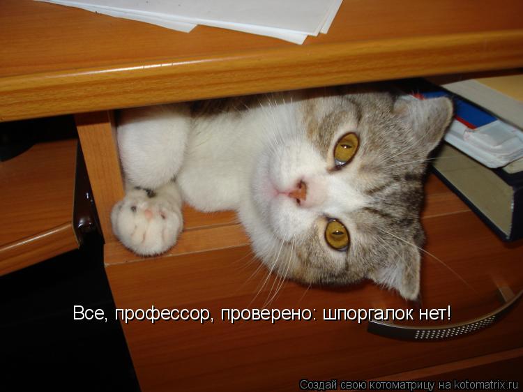 Котоматрица: Все, профессор, проверено: шпоргалок нет!