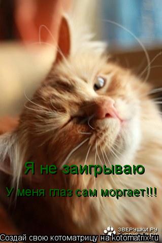 Котоматрица: Я не заигрываю У меня глаз сам моргает!!!