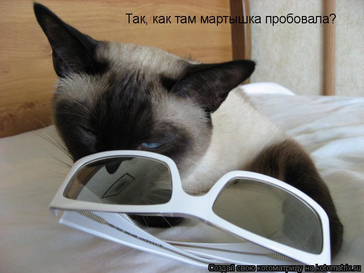 Котоматрица: Так, как там мартышка пробовала?