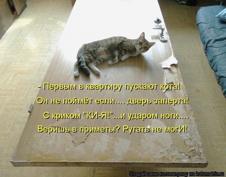 Он не поймёт если.... дверь заперта! С криком "КИ-Я!"...и ударом ноги.... Веришь в приметы? Ругать не... Котоматрица: Он не поймёт если.... дверь заперта! С криком "КИ-Я!"...и ударом ноги.... Веришь в приметы? Ругать не могИ! - Первым в квартиру пускают кота!
