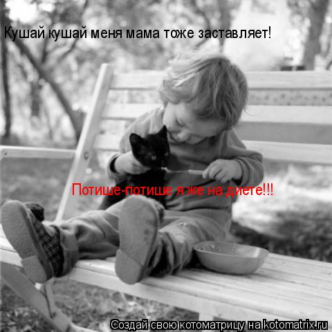 Кушай кушай меня мама тоже заставляет! Потише-потише я же на диете!!!... Котоматрица: Кушай кушай меня мама тоже заставляет! Потише-потише я же на диете!!!
