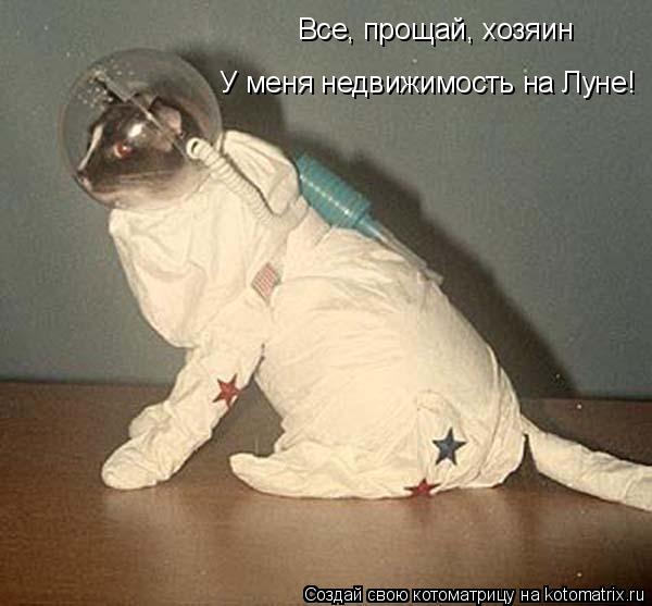Все, прощай, хозяин У меня недвижимость на Луне!... Котоматрица: Все, прощай, хозяин У меня недвижимость на Луне!