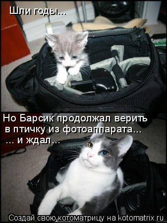 Шли годы... Но Барсик продолжал верить в птичку из фотоаппарата... ... и ждал...... Котоматрица: Шли годы... Но Барсик продолжал верить в птичку из фотоаппарата... ... и ждал...
