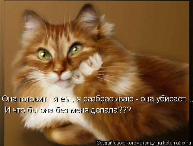Она готовит - я ем , я разбрасываю - она убирает.... И что бы она без меня делала???... Котоматрица: Она готовит - я ем , я разбрасываю - она убирает.... И что бы она без меня делала???