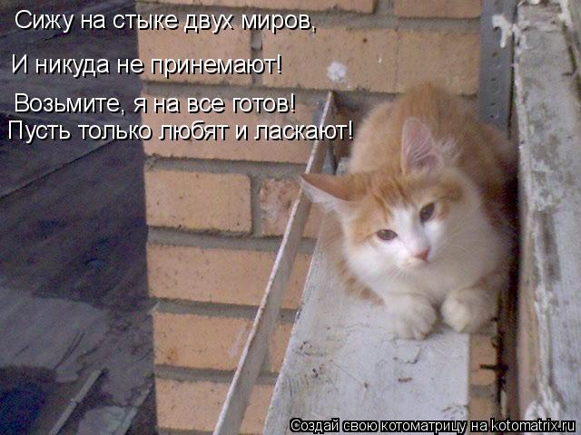 И никуда не принемают! Возьмите, я на все готов! Пусть только любят и ласкают! Сижу на стыке двух мир... Котоматрица: И никуда не принемают! Возьмите, я на все готов! Пусть только любят и ласкают! Сижу на стыке двух миров,