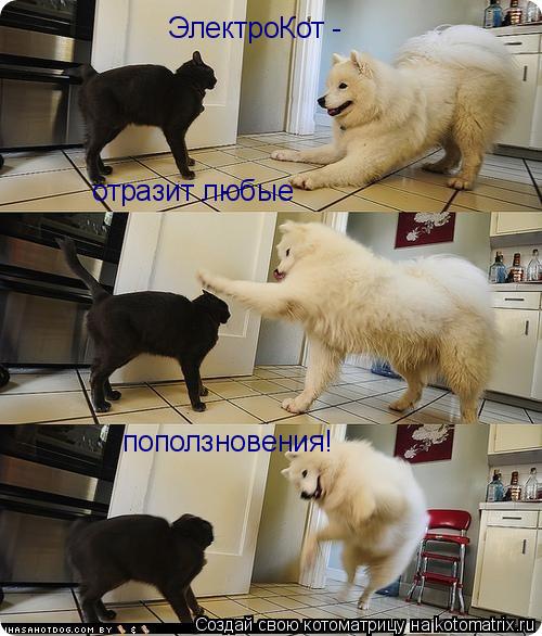 ЭлектроКот - отразит любые поползновения!... Котоматрица: ЭлектроКот - отразит любые поползновения!