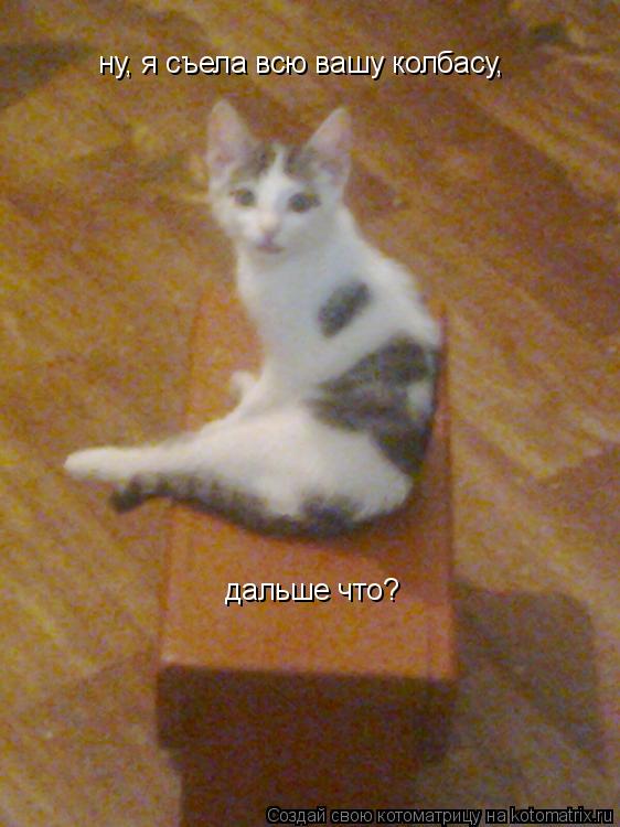 ну, я съела всю вашу колбасу, дальше что?... Котоматрица: ну, я съела всю вашу колбасу, дальше что?