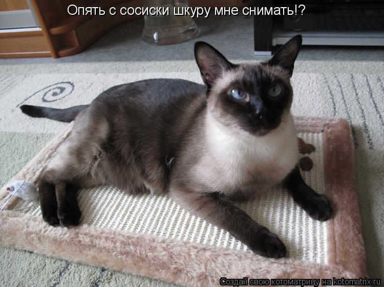 Опять с сосиски шкуру мне снимать!?... Котоматрица: Опять с сосиски шкуру мне снимать!?