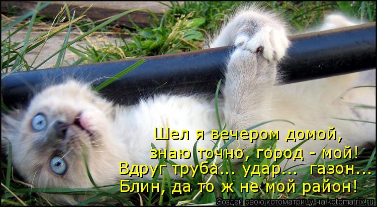 Шел я вечером домой, знаю точно, город - мой! Вдруг труба..… удар..… газон..… Блин, да то ж не мой р... Котоматрица: Шел я вечером домой, знаю точно, город - мой! Вдруг труба..… удар..… газон..… Блин, да то ж не мой район!