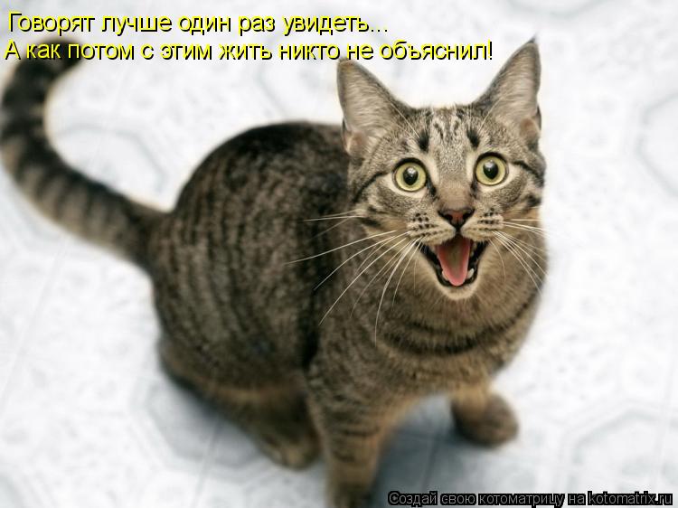 Говорят лучше один раз увидеть... А как потом с этим жить никто не объяснил!... Котоматрица: Говорят лучше один раз увидеть... А как потом с этим жить никто не объяснил!
