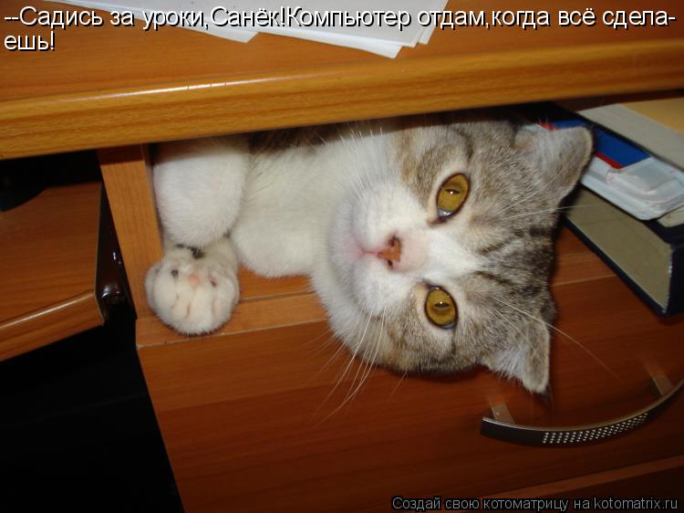 Котоматрица: --Садись за уроки,Санёк!Компьютер отдам,когда всё сдела- ешь!