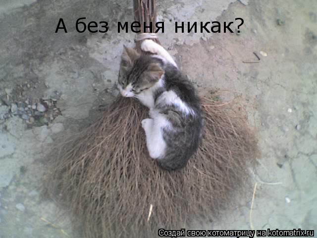 Котоматрица: А без меня никак?