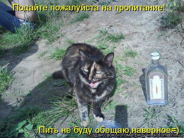 Котоматрица: Подайте пожалуйста на пропитание! Пить не буду обещаю,наверное=)