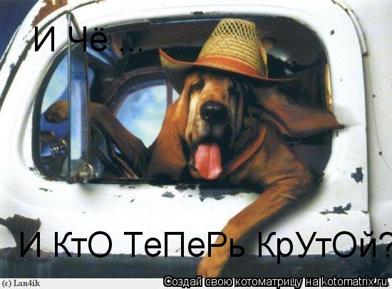 Котоматрица: И Чё ... И КтО ТеПеРь КрУтОй?