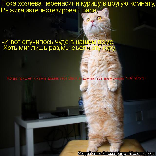 Котоматрица: Пока хозяева перенасили курицу в другую комнату, Рыжика загепнотезировал Вася, -И вот случилось чудо в нашем доме, Хоть миг лишь раз,мы съел