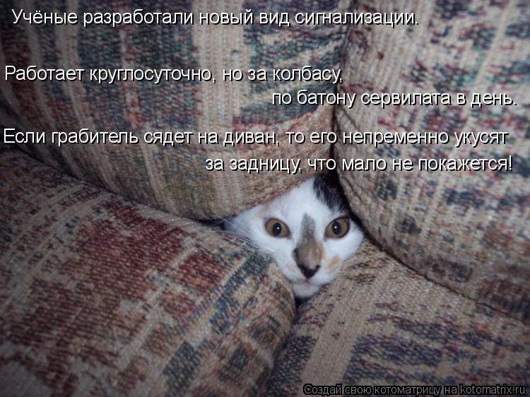 Котоматрица: Учёные разработали новый вид сигнализации. Работает круглосуточно, но за колбасу,  по батону сервилата в день. Если грабитель сядет на дива