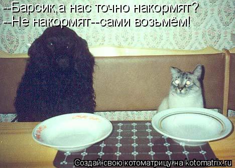 Котоматрица: --Барсик,а нас точно накормят? --Не накормят--сами возьмём!