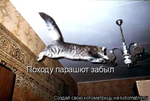 Котоматрица: Походу парашют забыл
