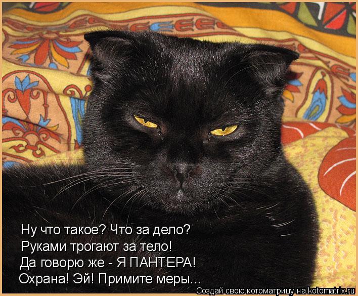 Котоматрица: Ну что такое? Что за дело? Руками трогают за тело! Да говорю же - Я ПАНТЕРА! Охрана! Эй! Примите меры...