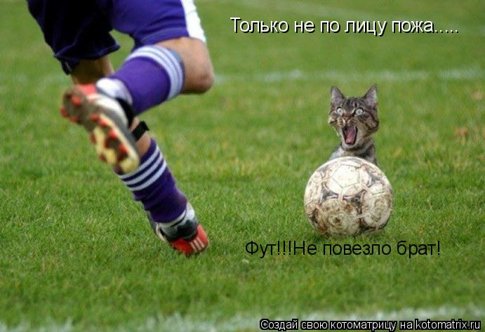 Котоматрица: Только не по лицу пожа..... Фут!!!Не повезло брат!
