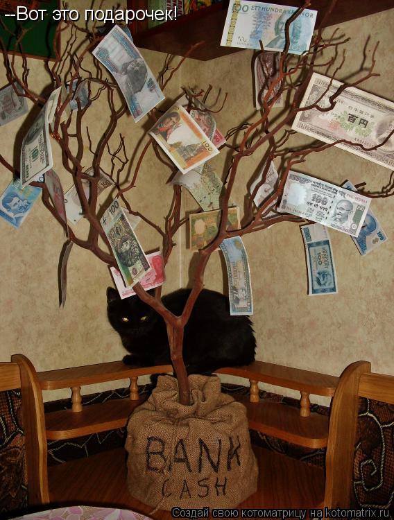 Котоматрица: --Вот это подарочек!