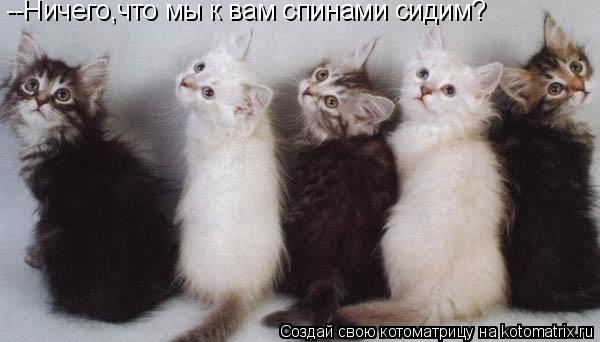 Котоматрица: --Ничего,что мы к вам спинами сидим?