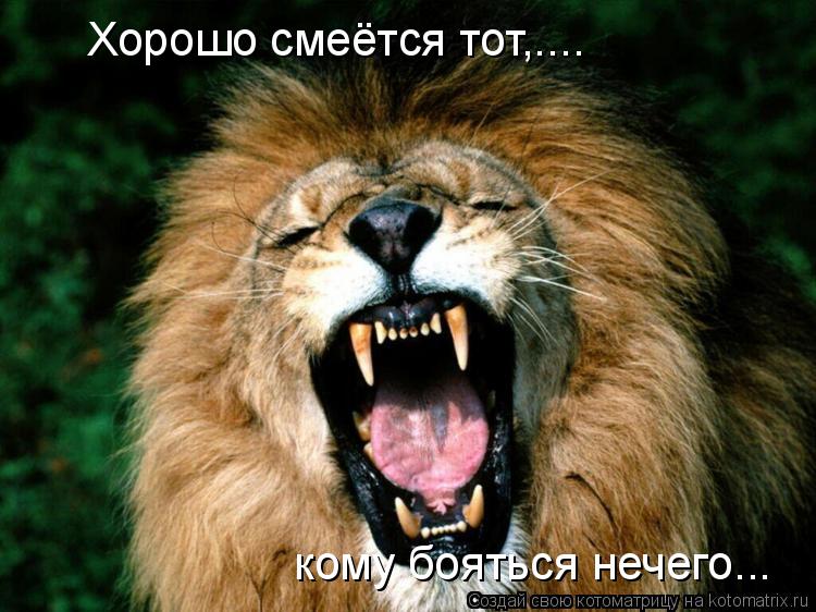 Хорошо смеётся тот,.... кому бояться нечего...... Котоматрица: Хорошо смеётся тот,.... кому бояться нечего...