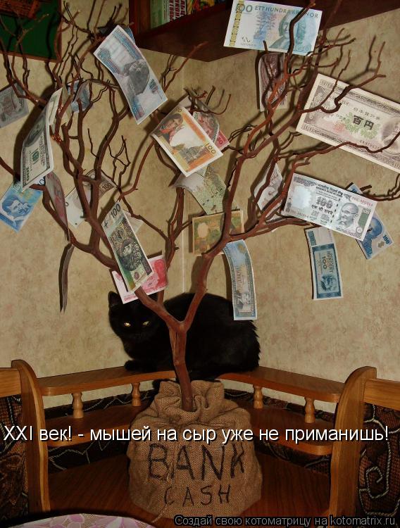 Котоматрица: XXI век! - мышей на сыр уже не приманишь!