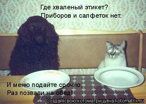 Приборов и салфеток нет. Где хваленый этикет? И меню подайте срочно, Раз позвали на обед!... Котоматрица: Приборов и салфеток нет. Где хваленый этикет? И меню подайте срочно, Раз позвали на обед!