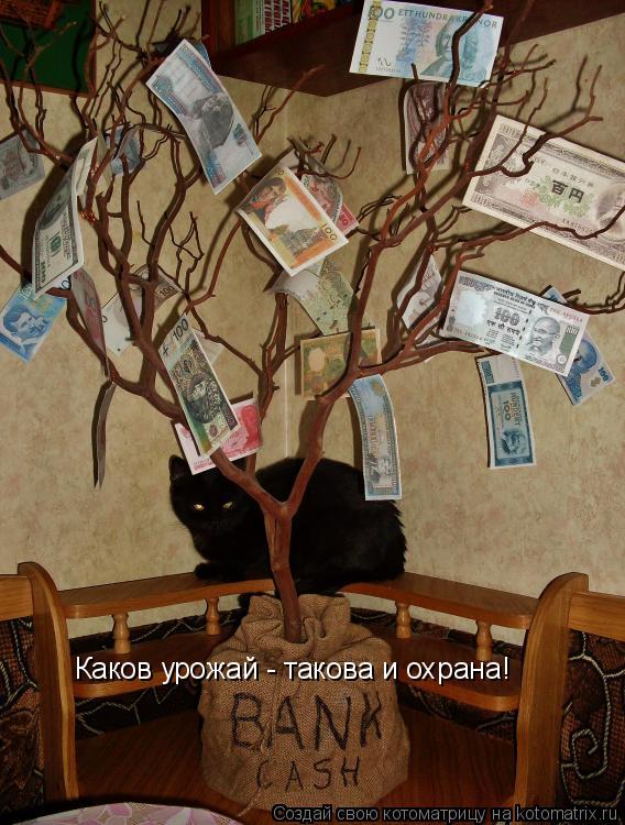 Каков урожай - такова и охрана!... Котоматрица: Каков урожай - такова и охрана!