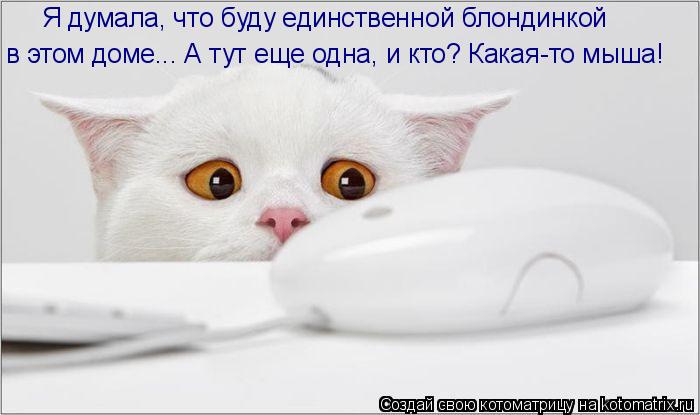 http://kotomatrix.ru/images/lolz/2011/04/25/893465.jpg