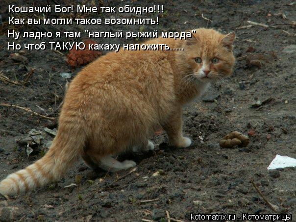 Кошачий Бог! Мне так обидно!!! Кошачий Бог! Мне так обидно!!! Как вы могли такое возомнить! Ну ладно ... Котоматрица: Кошачий Бог! Мне так обидно!!! Кошачий Бог! Мне так обидно!!! Как вы могли такое возомнить! Ну ладно я там "наглый рыжий морда" Но чтоб ТАКУЮ как