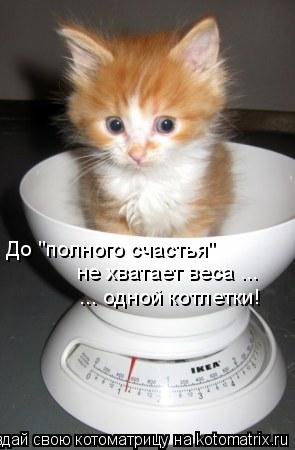 До "полного счастья" не хватает веса ... ... одной котлетки!... Котоматрица: До "полного счастья" не хватает веса ... ... одной котлетки!