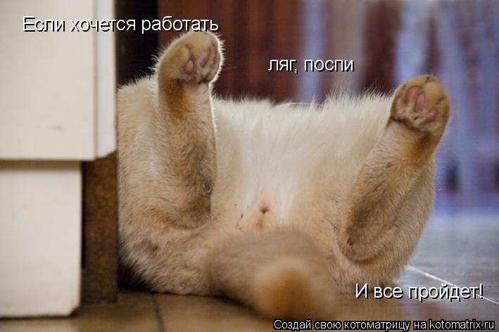 Если хочется работать ляг, поспи И все пройдет!... Котоматрица: Если хочется работать ляг, поспи И все пройдет!