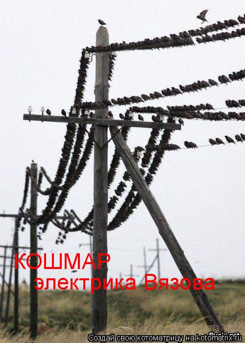 КОШМАР электрика Вязова... Котоматрица: КОШМАР электрика Вязова