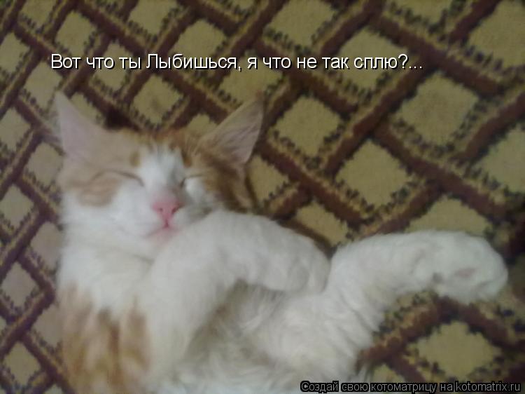 Вот что ты Лыбишься, я что не так сплю?...... Котоматрица: Вот что ты Лыбишься, я что не так сплю?...