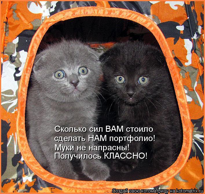 Сколько сил ВАМ стоило сделать НАМ портфолио! Муки не напрасны! Получилось КЛАССНО!... Котоматрица: Сколько сил ВАМ стоило сделать НАМ портфолио! Муки не напрасны! Получилось КЛАССНО!