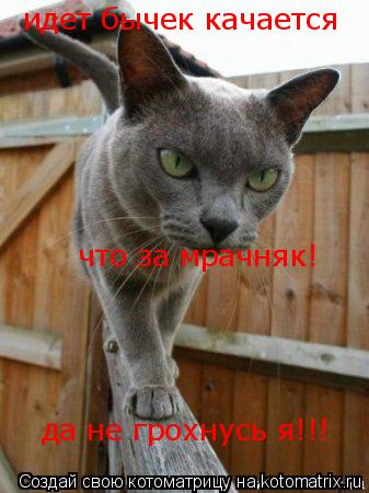 идет бычек качается что за мрачняк! да не грохнусь я!!!... Котоматрица: идет бычек качается что за мрачняк! да не грохнусь я!!!